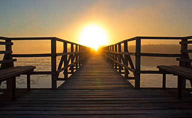 深圳尼羅河生物科技有限公司